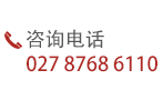 咨询电话 027-87686110